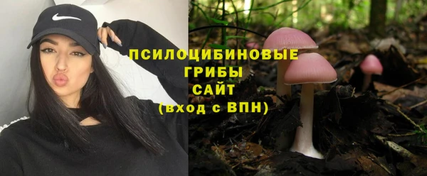 мяу мяу мука Михайловка