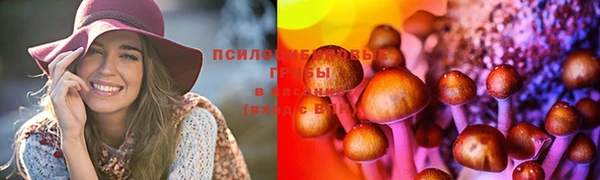 spice Вязьма