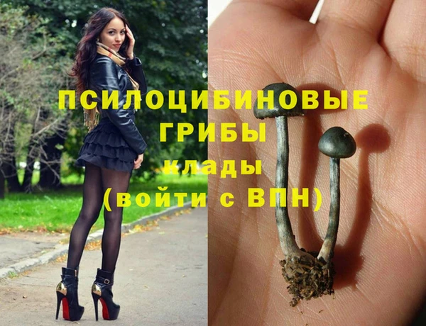 прущие крисы Михайлов